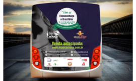 Ponto nº BACKBUSÁGUABOA